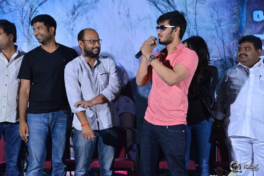 Ekkadiki-Pothavu-Chinnavada-Movie-Thanks-Meet